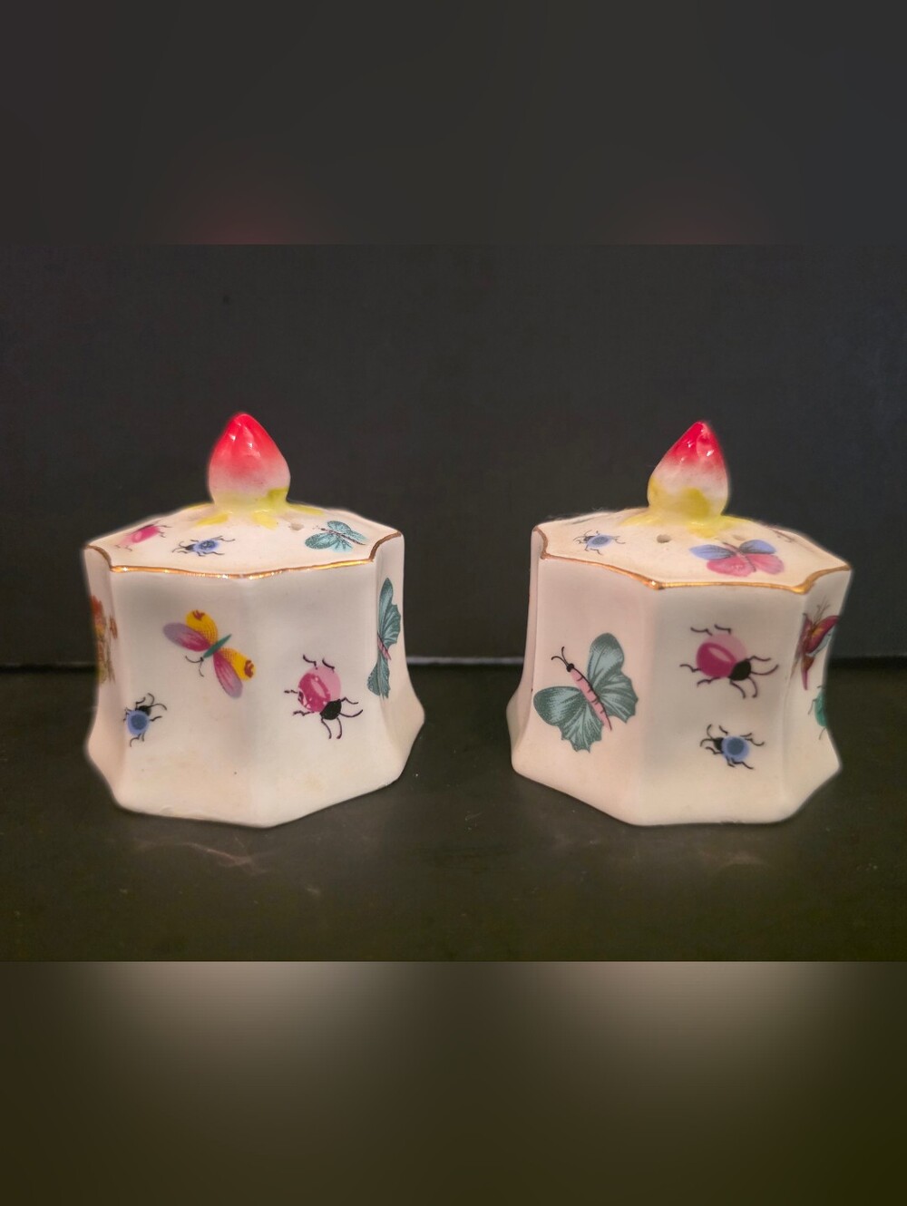 Vintage Bone China Lenwile Ardalt Butterfly& Ladybug Salt & Pepper Shakers